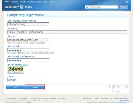 WebMoneyע̳