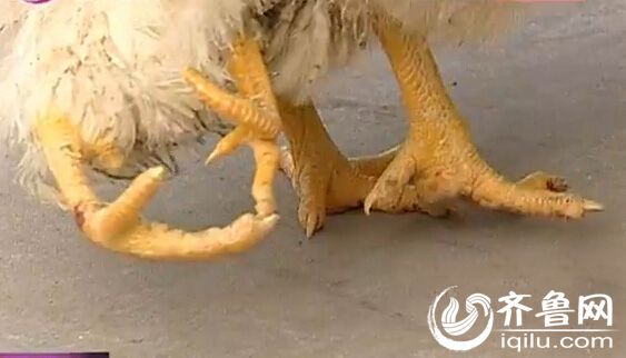 һ֡񼦡 ƨһ_WWW.QIWEN8.NET
