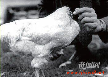 һֻͷ漣18_WWW.QIWEN8.NET