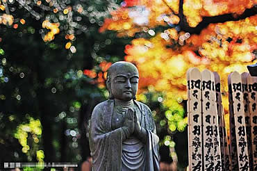 ձˮӹ ̥ض_WWW.QIWEN8.NET