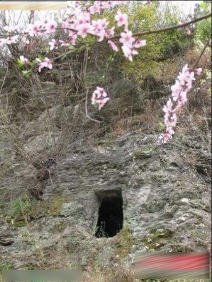 صļҤ ֲͼ
