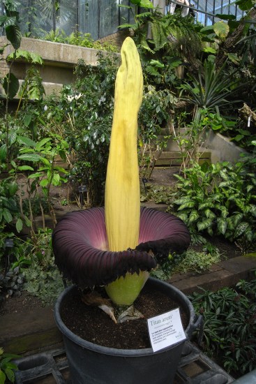 Ļʬڰ濪