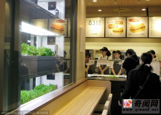 在厕所里吃饭?世界上那些造型独特的餐厅你知道多少