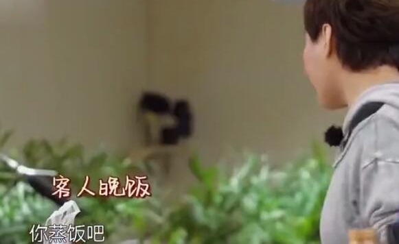 Ůûջ ȥõ ҪҾͲ