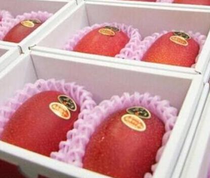 ձ̫֮âЩЧ