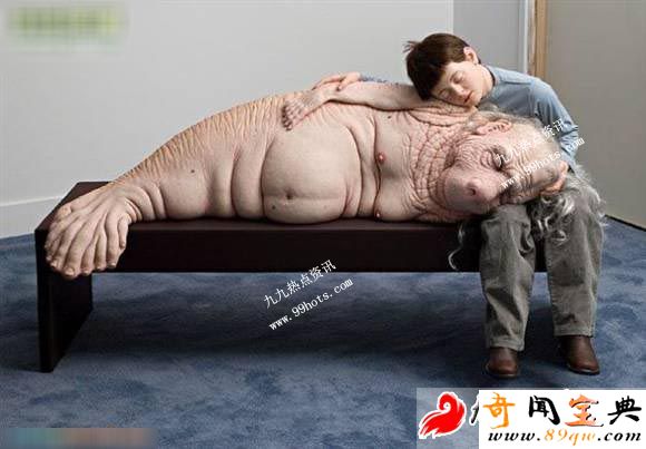 ޽ֽΪʵ Ӿ