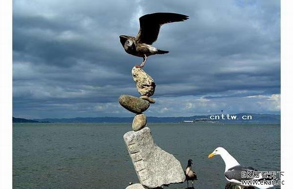 ֮գӡʦȶ-Ĺʯƽ