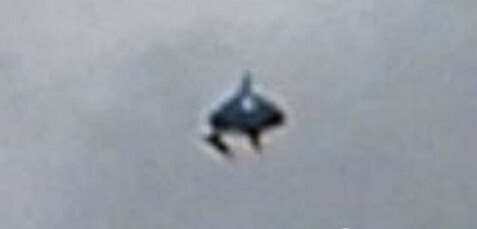 UFO Ӣճɫ