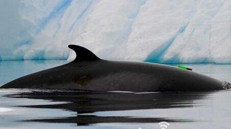 ϱĹ ϼ޵ıѷ