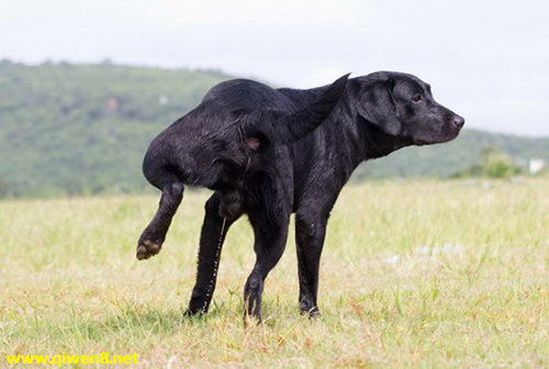  ѧо