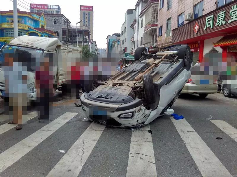쳵  ֻͽ