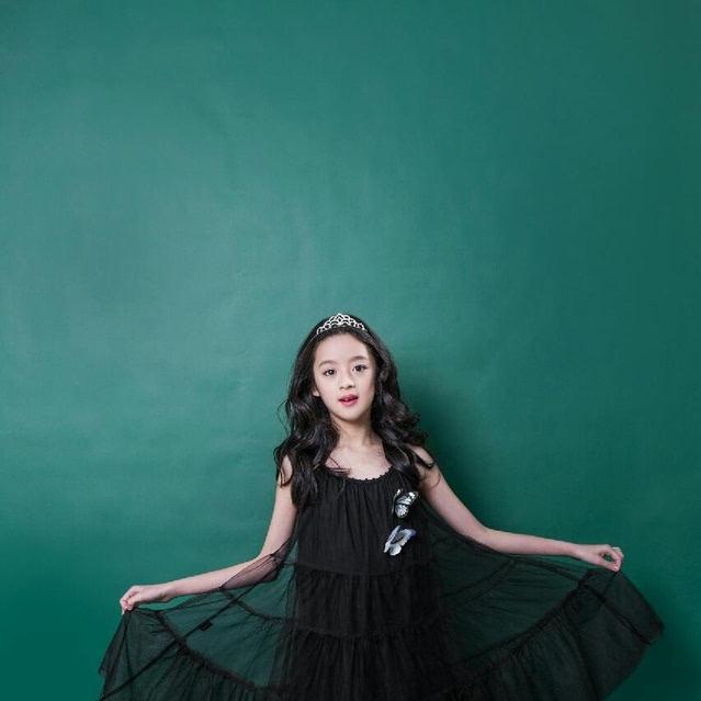 黄杨钿甜主要作品 黄杨钿甜的人物评价