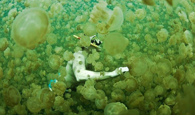 盘点科学无法解释的5大自然现象有哪些
