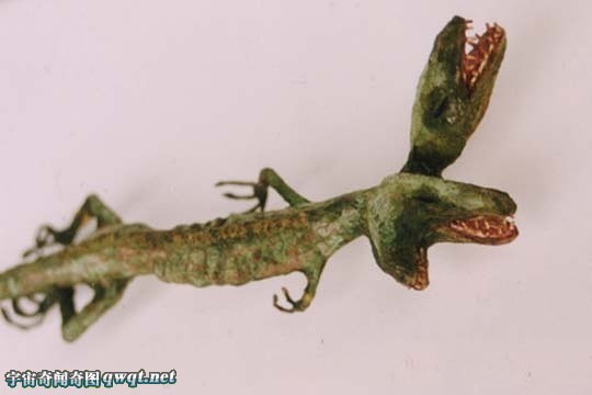 盘点你从没见过的神秘生物躯体标本:精灵标本