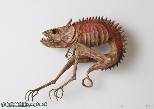 盘点你从没见过的神秘生物躯体标本:精灵标本