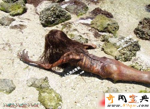 网传海滩惊现逼真恐怖美人鱼干尸
