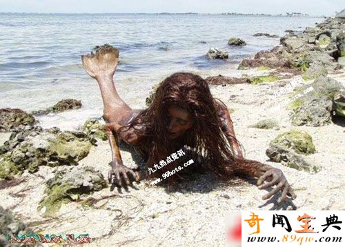网传海滩惊现逼真恐怖美人鱼干尸
