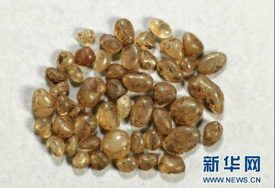 何为舍利子 舍利子是怎么形成的