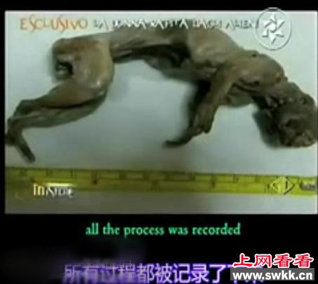 有谁能够产下外星人婴儿 答案就是意大利女子咯