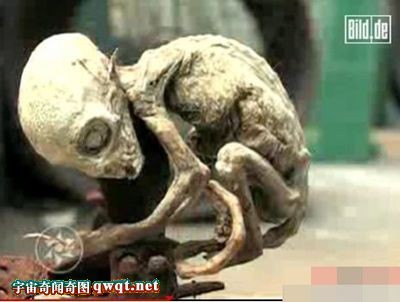 惊骇图集解秘在麦田怪圈捕获外星人幼崽的事件之谜