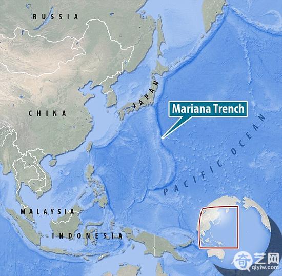 深海发现幽灵鱼:黄眼身白如同外星生物
