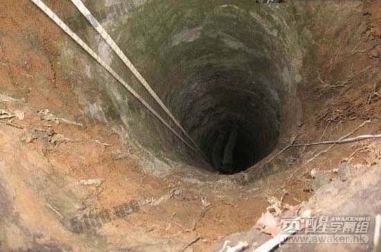 俄罗斯森林出现奇怪深洞 难道是地心人挖的?