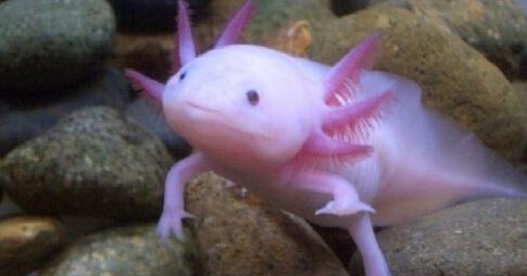 ĽŹ 