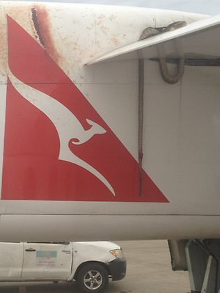 高空中飞机机翼惊现蟒蛇 猛拍机身血迹斑斑 吓坏乘客【图讯】