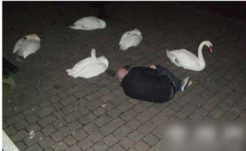 ćͼһ飡Цô