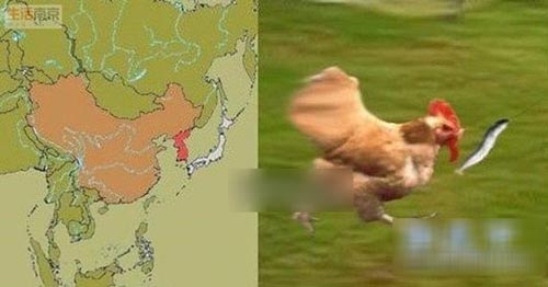 ЦԱͼ,㿴ɹӰӡ