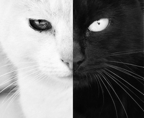 ۵ ߽ͯ꾭