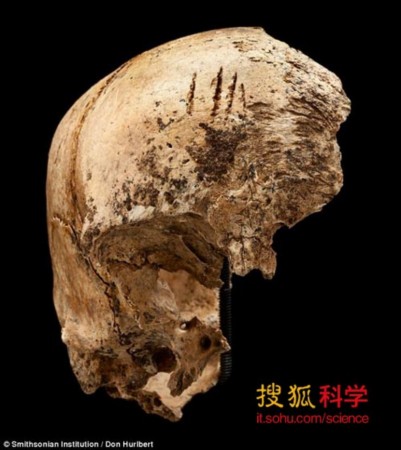到达美洲的第一批殖民者或为食人族/图 到达美洲的第一批殖民者或为食人族/图
