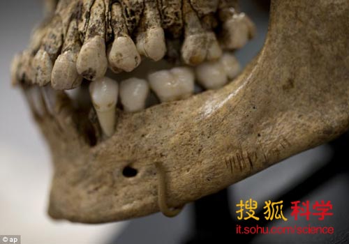 到达美洲的第一批殖民者或为食人族/图 到达美洲的第一批殖民者或为食人族/图