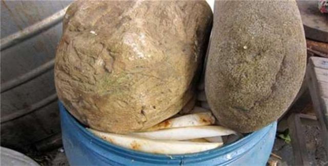 石头里蹦出的财富 腌菜的石头竟然是块原石?