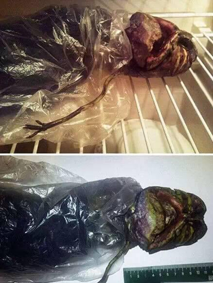 全球口味最重的未解之谜 心脏病患者慎入