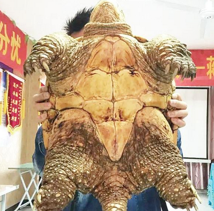 ڹ괳 벻ɵĺȻô