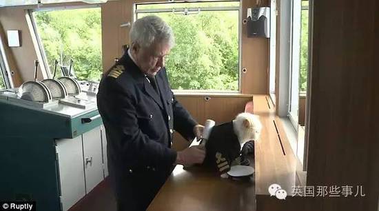 俄罗斯猫船长走红网络 猫船长还收了个小弟为伴