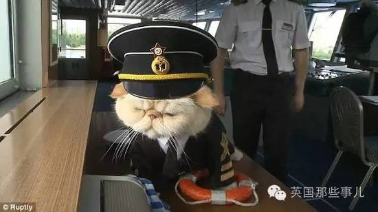 俄罗斯猫船长走红网络 猫船长还收了个小弟为伴