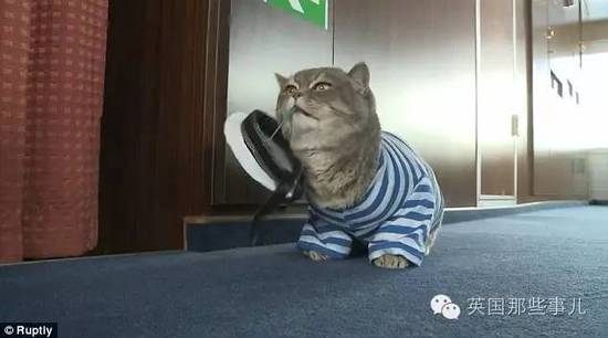 ˹èߺ è˸СΪ