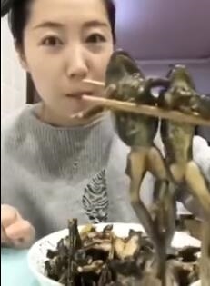 美女直播吃整只青蛙 血淋淋画面好恶心
