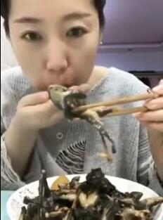 美女直播吃整只青蛙 血淋淋画面好恶心