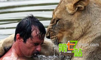 盘点人兽同居事件 猛男与千只蜈蚣同居