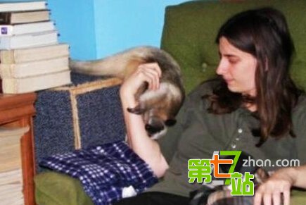 盘点人兽同居事件 猛男与千只蜈蚣同居
