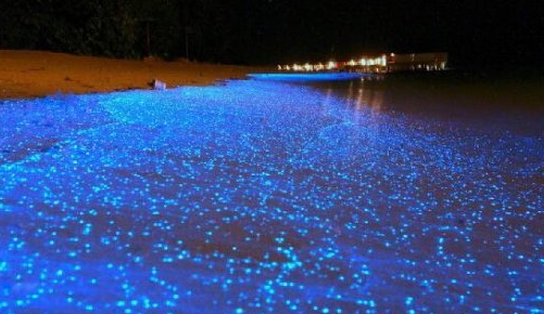 中秋海边赏月胜地 是何等的浪漫