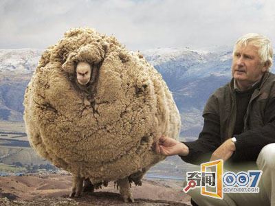 겻ëȻ᳤
