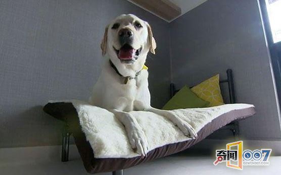 ʽ6ǧǼƵ꣬סȴ˶ǳ