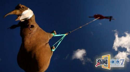 ϿճȻȺڸ߶ȹע