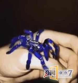 ˯ֱ۱