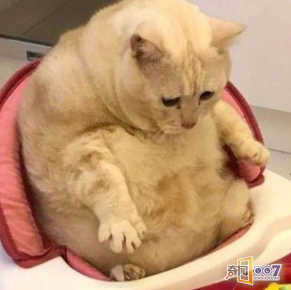 è͵ӤĶЦ
