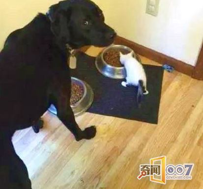 ȥʱЦ